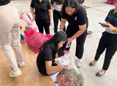 สำนักงานสหกรณ์จังหวัดหนองคายกระจายหอมแดง(ปึ๋ง) ... พารามิเตอร์รูปภาพ 27